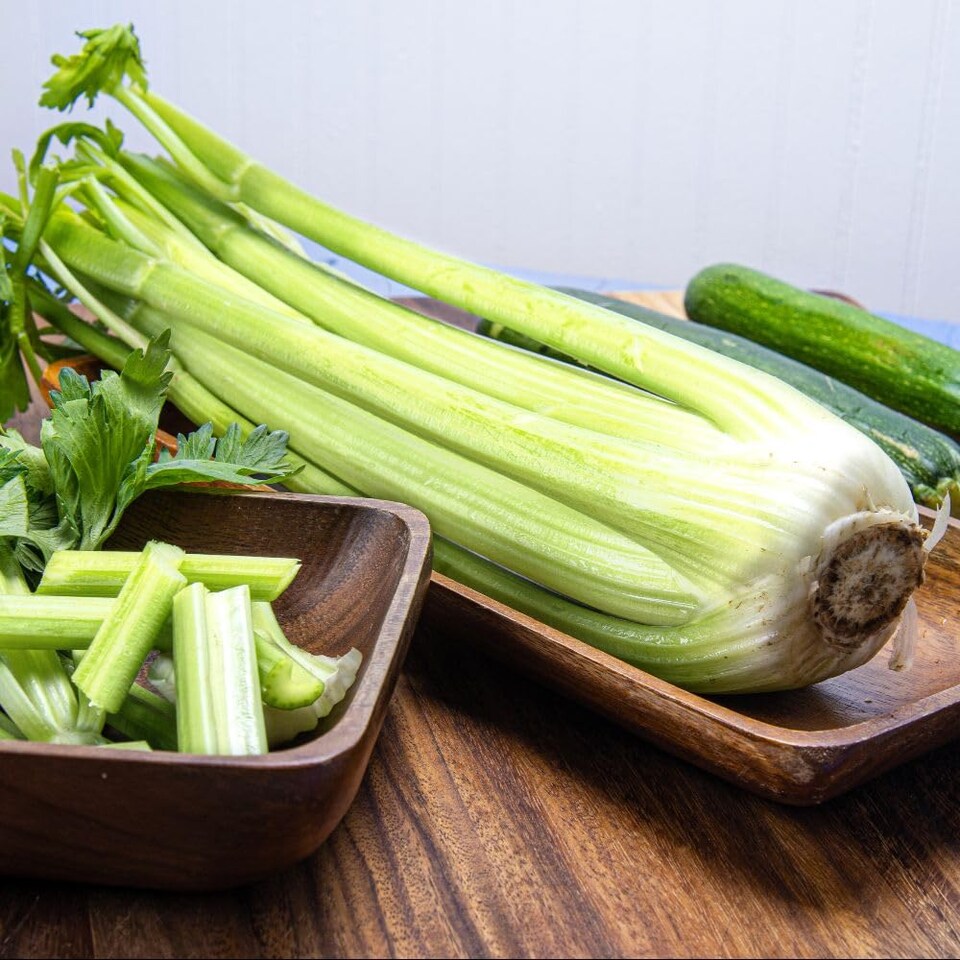 image 1 of Loretta Celery Seeds - Self-Blanching Sweet Crunchy Stalks. Vigorous Hybrid. UK Garden Ideal. 350 Seeds.