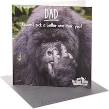 Couldn't Pick a Better One Design Dad Birthday Card