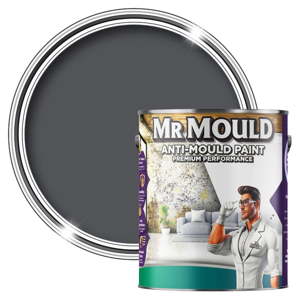 image 1 of MR MOULD - Anti-Mould Paint - Premium Colour & Protection for Interior Walls & Ceilings - Classic Grey - 1L