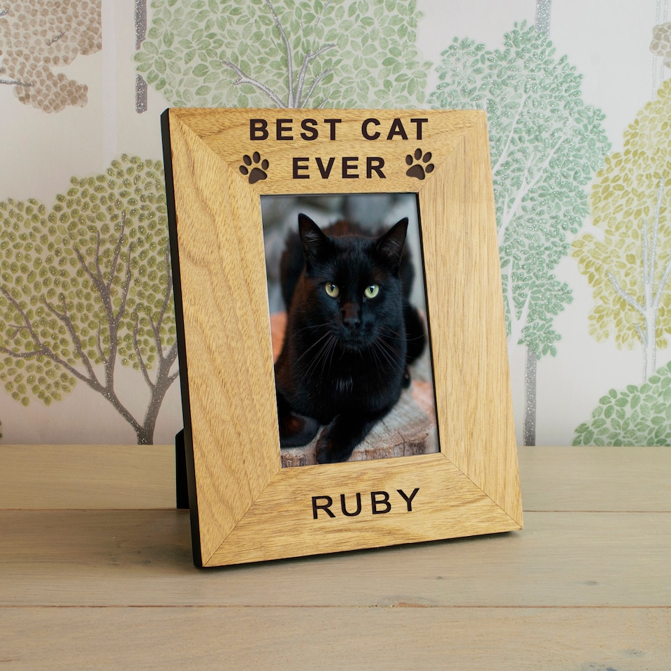 image 1 of Personalised Best Cat Ever Wood Picture Frame 6x4 Friend Gift