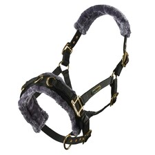 Shires Fleece Lined Plush Horse Lunge Cavesson - Black - Cob