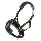 image 1 of Shires Fleece Lined Plush Horse Lunge Cavesson - Black - Cob