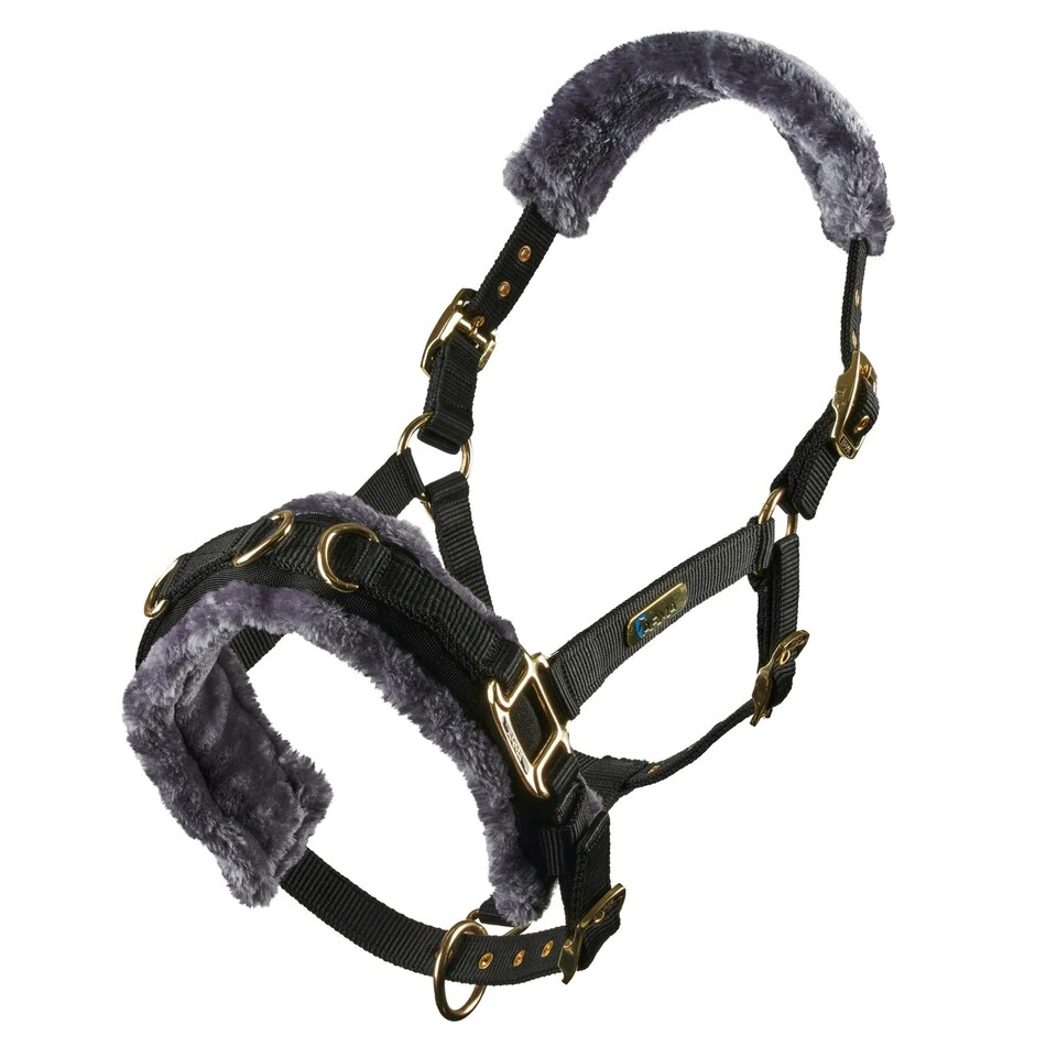 image 1 of Shires Fleece Lined Plush Horse Lunge Cavesson - Black - Cob