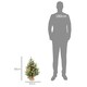 image 3 of HOMCOM 2 Pieces 2' Prelit Artificial Tabletop Christmas Trees, LED Display