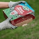 image 8 of GroSure Smart Lawn Seed Fast Start  Aqua Gel Coated, Germinates 40sqm
