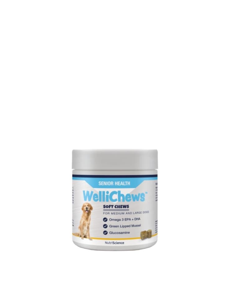 Wellichew Senior Health Chews Mediumium/Large Dogs - 60 Chews 120g