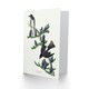 image 2 of John James Audubon Art Card Olive Sided Flycatcher Bird on Fir Tree