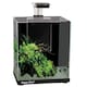 image 1 of Aqua One Focus 23 Glass Aquarium 23L