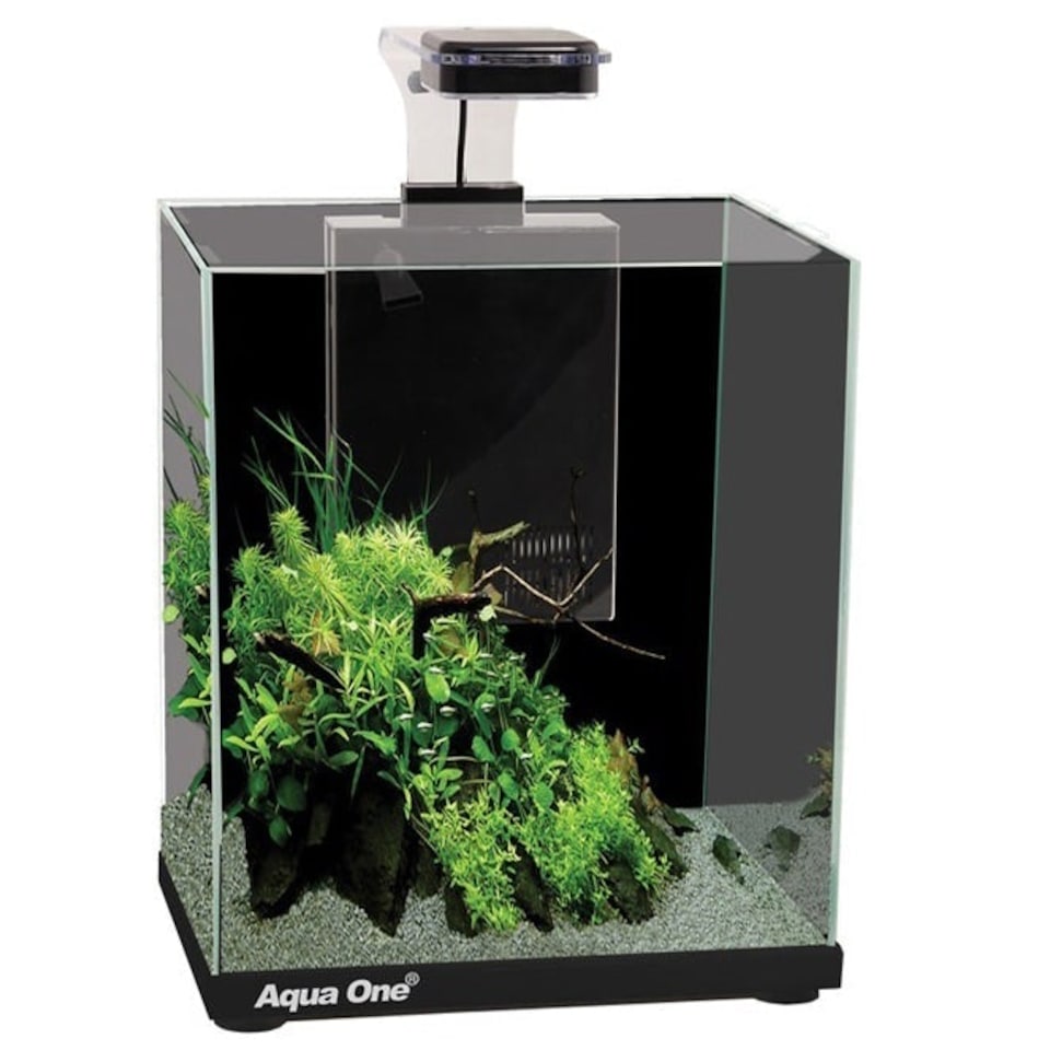 image 1 of Aqua One Focus 23 Glass Aquarium 23L