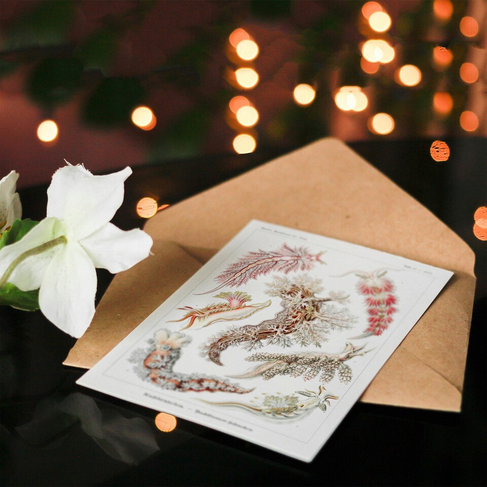 image 1 of Ernst Haeckel Art Card Nudibranch Sea Slug Molluscs
