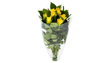 KYTICE RŮŽÍ, 35 CM, 9 KS