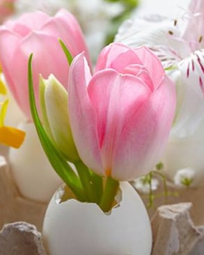 Velikonoční dekorace