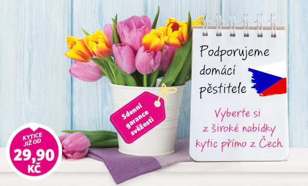 Čerstvé květiny pro každý váš den