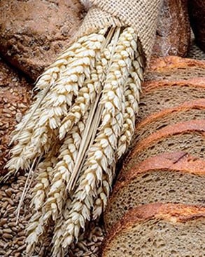 Zajímavosti o chlebu