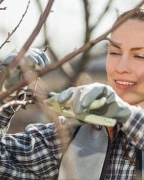 První práce na zahradě 