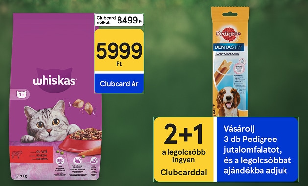 Ünnepeljük együtt az állatok világnapját!