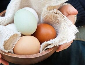 25 érdekesség és tény a tojásról