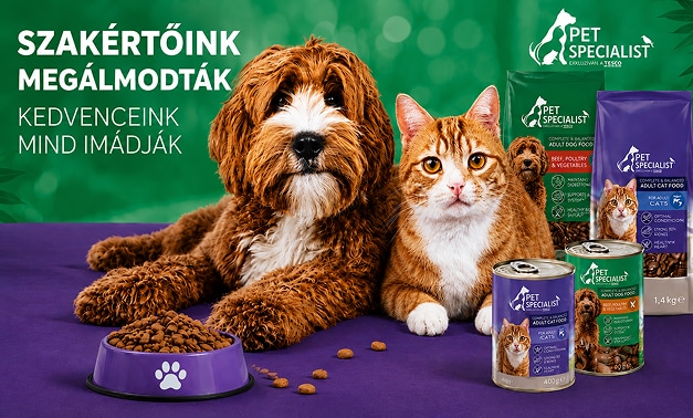 Szakértőink megálmodták, kedvenceink mind imádják