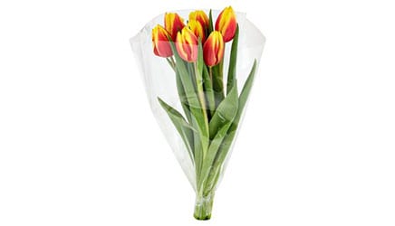 Tesco tulipán 7 szál 5 színben