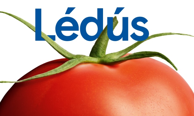 Ismerd meg széles,  minőségi választékunkat!