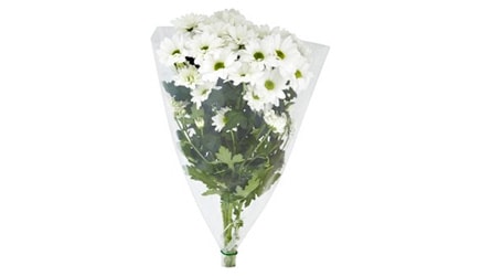 KYTICA CHRYZANTÉM Kvety úľavy a útechy