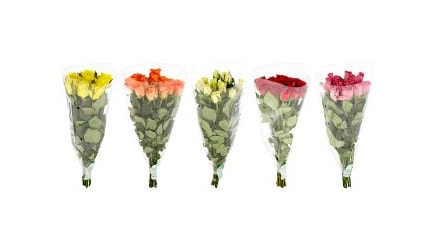 KYTICA RUŽÍ - VEĽKÁ Dvanásť kúskov elegancie