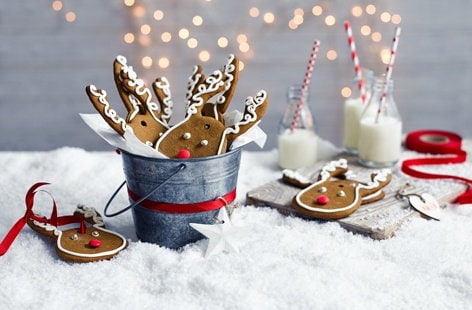 Image of "Gingerbread reindeer"