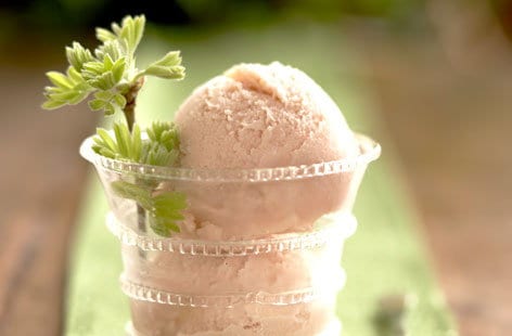 Image of "Rhubarb ice cream"