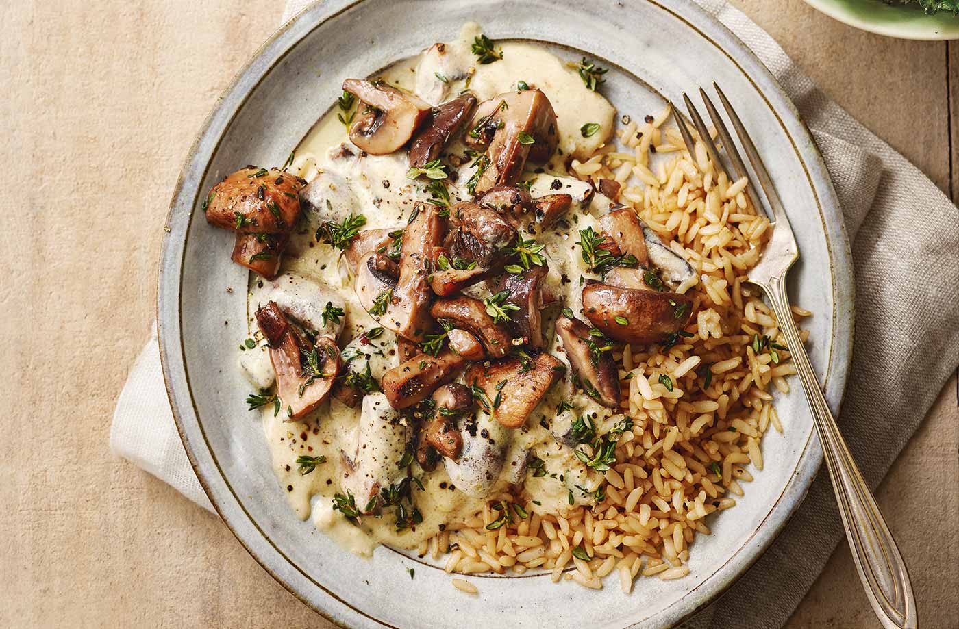 Mushroom stroganoff