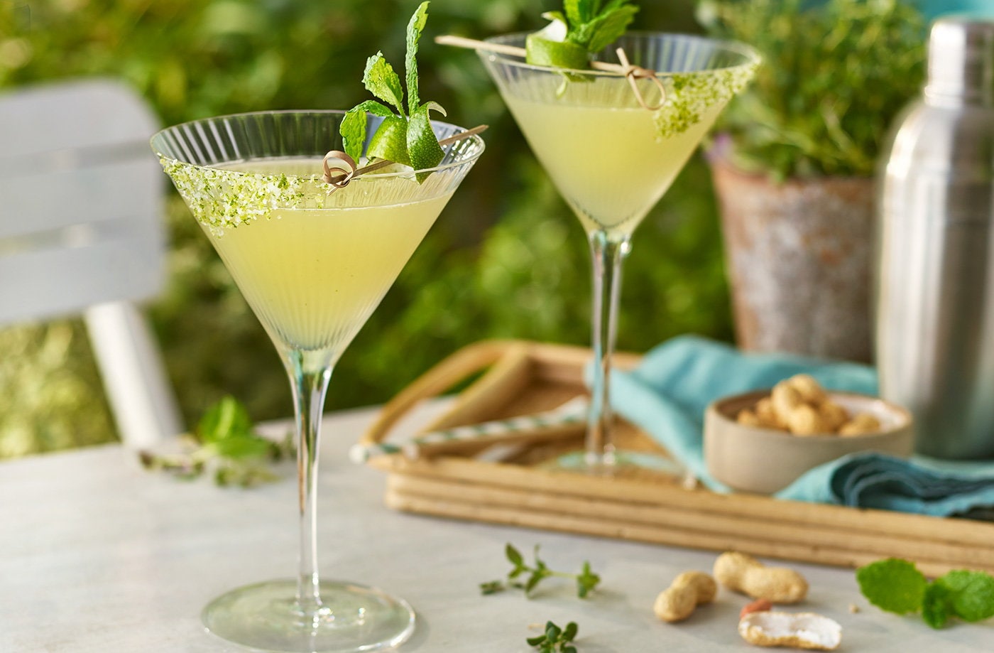 Herb garden margarita