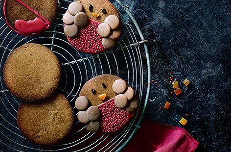 Image of "Robin gingerbread biscuits"