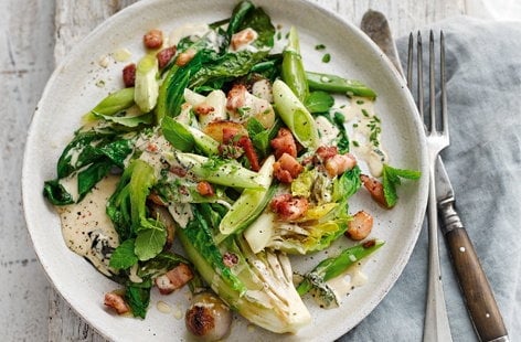 Image of "Braised lettuce with créme fraîche and bacon"