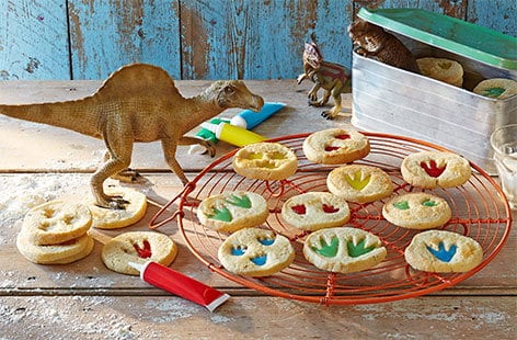 Image of "Dinosaur biscuits"