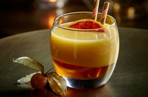 Image of "Marmalade mule"
