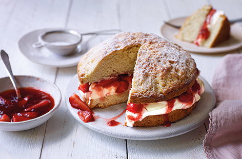 Image of "Giant scone cake"