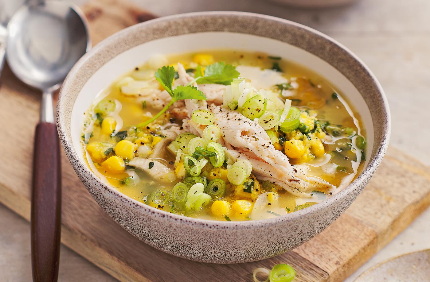Chinese chicken and sweetcorn soup