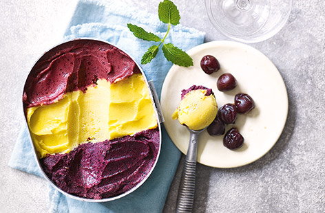 Image of "Neapolitan frozen yogurt"