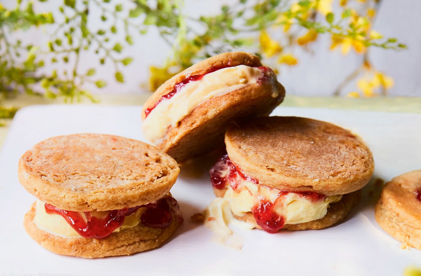 Peanut butter and jelly ice cream sandwiches
