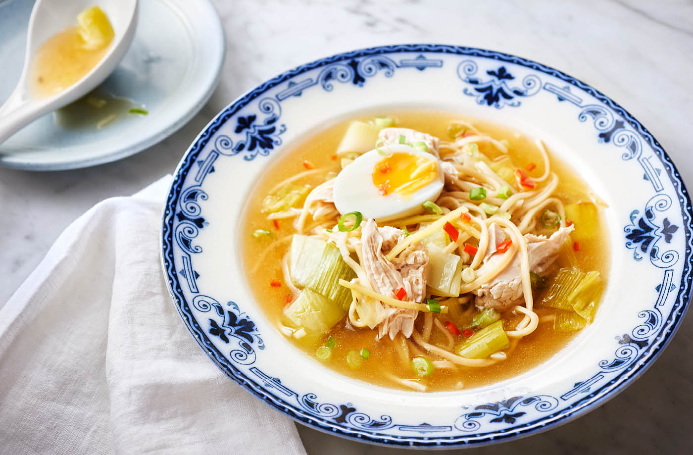 Chicken and leek noodle soup