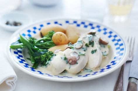 Image of "Chicken breasts in white wine sauce"